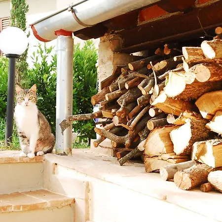 Hébergement de vacances Loft & Giuggiolaia